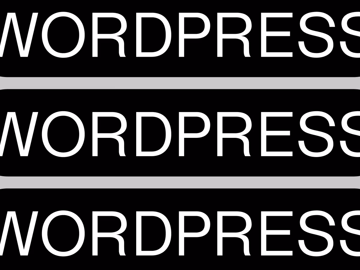 WordPressがよくわからない！
基本の仕組みから
活用方法を解説

