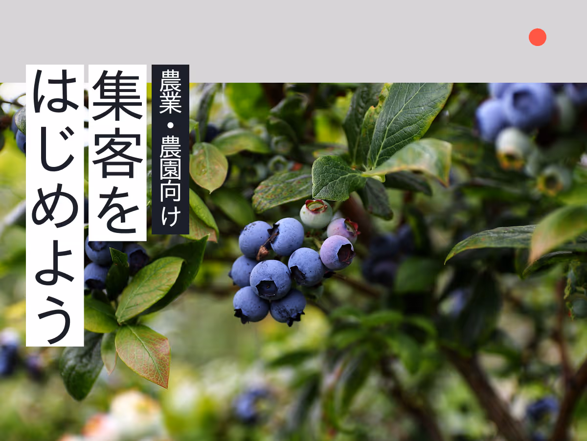 仙台/宮城の農園・果樹園が今すぐ実践できる集客入門ガイド！季節の恵みを活かした体験型マーケティング